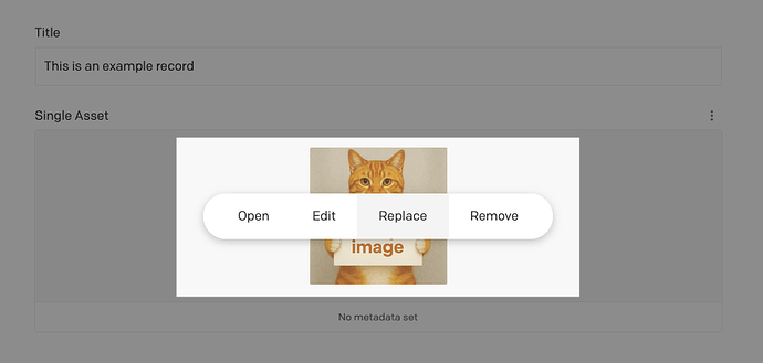 Edit Example Model  Content  asset-update-publish-webhook  DatoCMS - 2026-01-26 11-35-00 AM