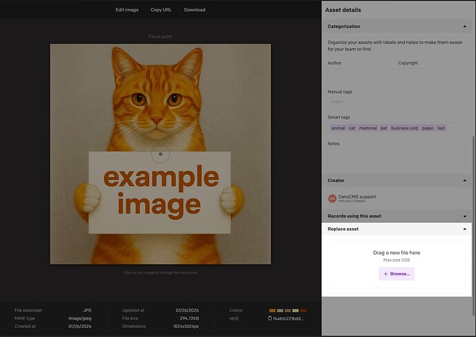 Edit Example Model  Content  asset-update-publish-webhook  DatoCMS - 2026-01-26 11-36-28 AM